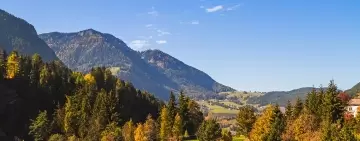 Introduzione alla disciplina dell’Accordo di Foresta