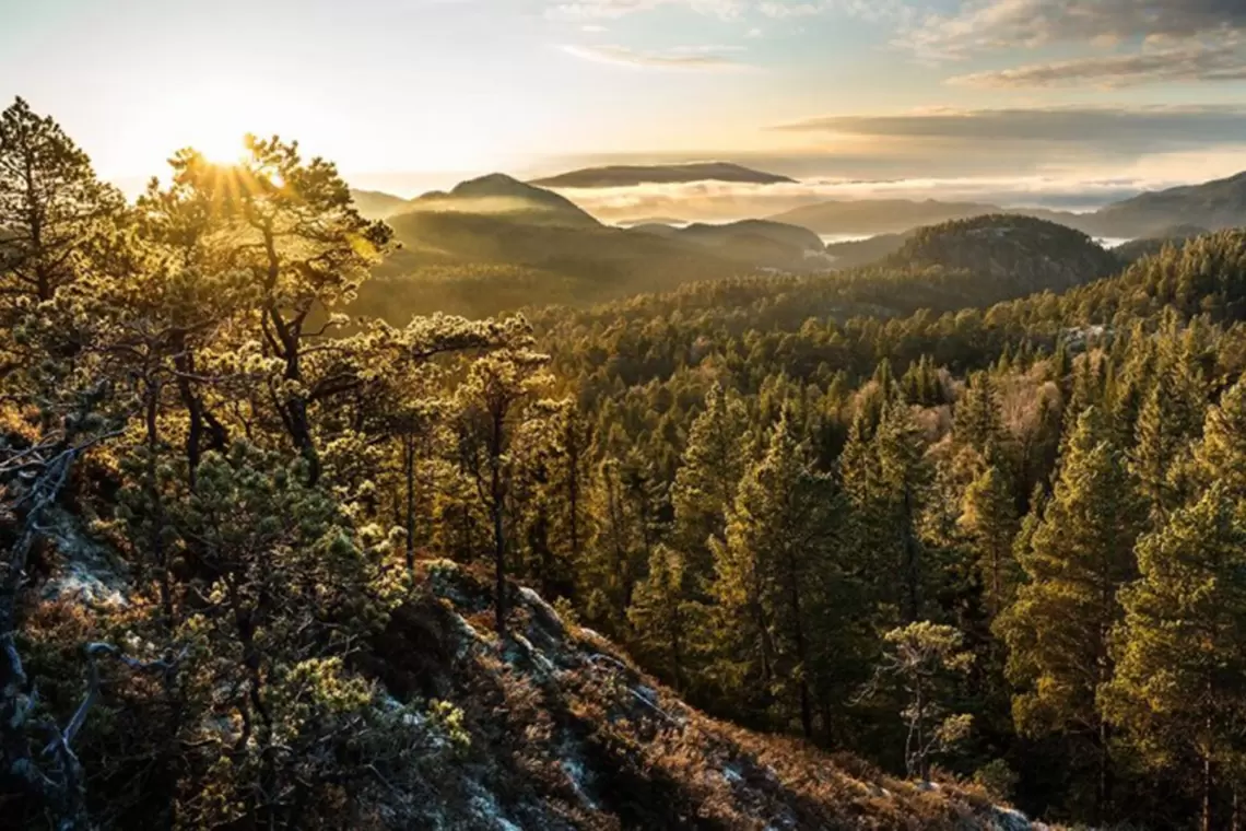 La gestione delle foreste pubbliche secondo EUSTAFOR