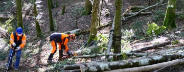 Centro di Formazione Forestale di Rincine: il 21 marzo il primo appuntamento del calendario dei corsi 2022