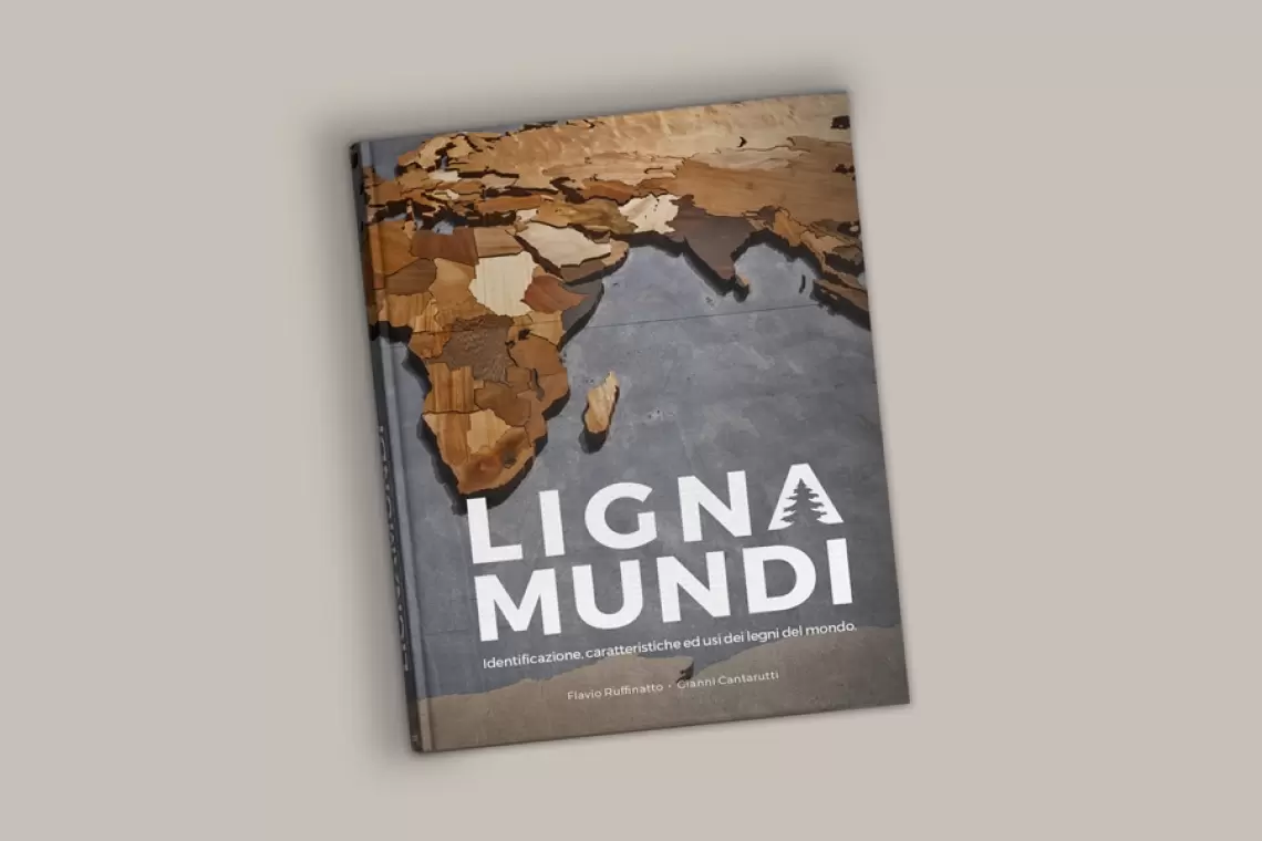 Il giro del mondo in 200 legni