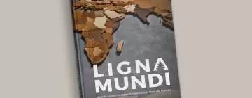 Il giro del mondo in 200 legni