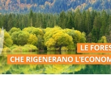 Gestione sostenibile: opportunità e linee guida alla luce della Strategia Forestale Nazionale