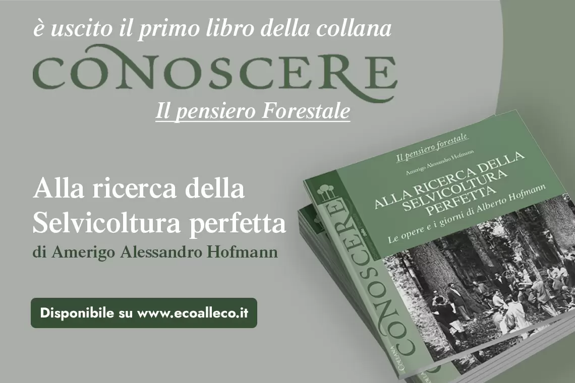 Alla ricerca della selvicoltura perfetta