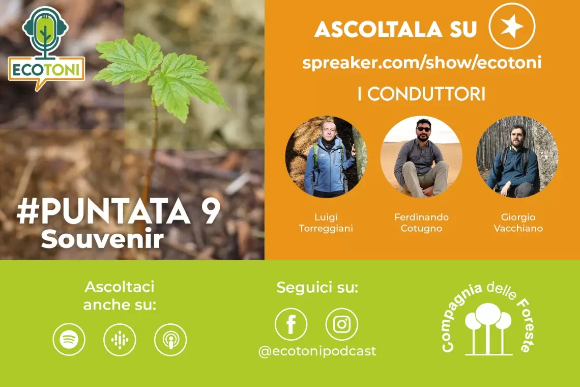 “Souvenir”, una nuova puntata di Ecotoni