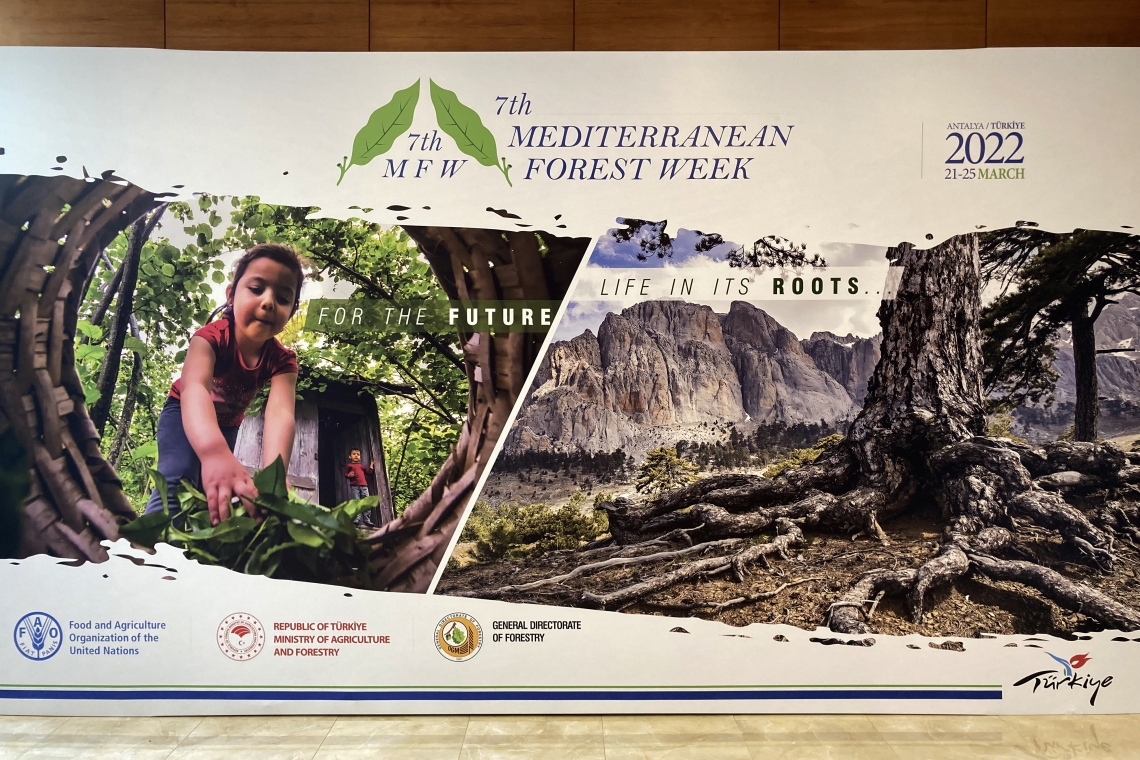 Ad Antalya, per discutere il futuro delle foreste del Mediterraneo