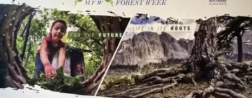 Ad Antalya, per discutere il futuro delle foreste del Mediterraneo