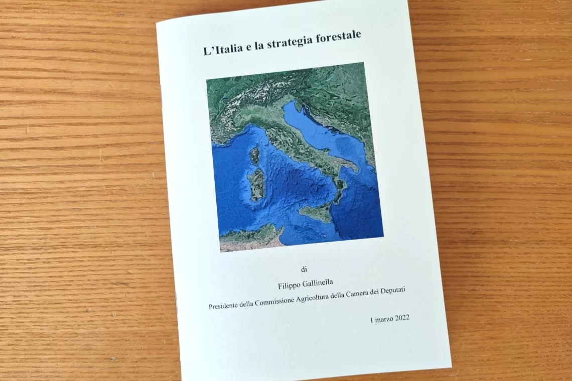 Una guida politica alla Strategia Forestale
