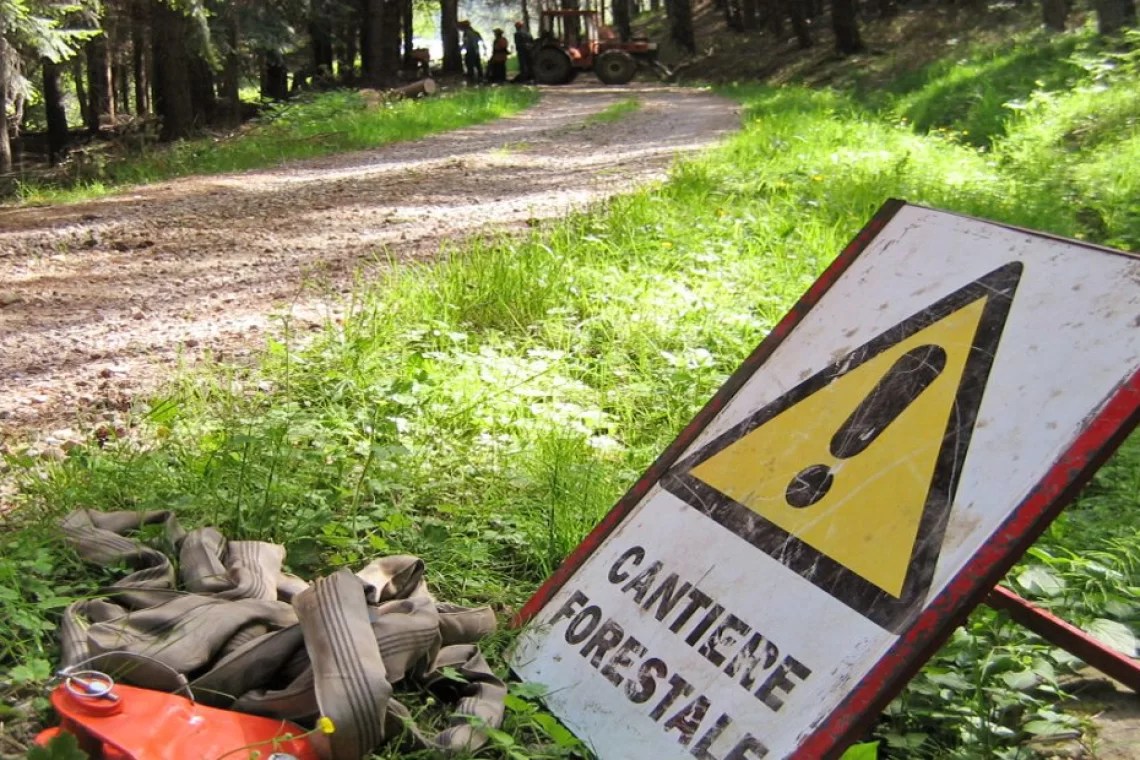 Aggiornamento dei criteri di iscrizione all’Albo regionale delle imprese boschive della Lombardia