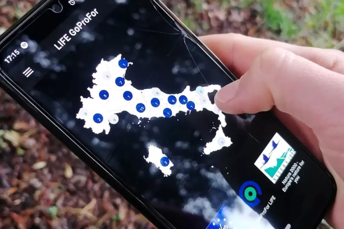 Online la applicazione GoProFor