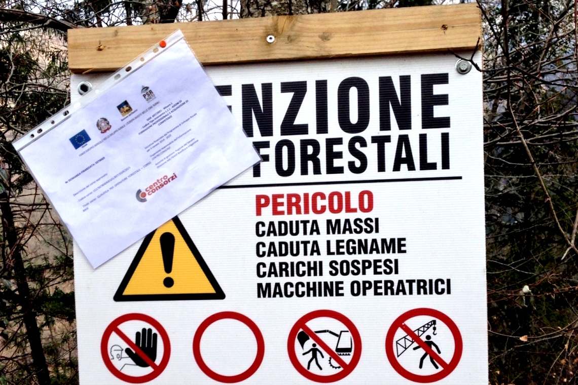 Al via una nuova stagione di corsi per operatori forestali in Veneto