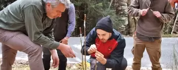 AUSF Firenze all’Orsigna per approfondire potatura e innesto del castagno