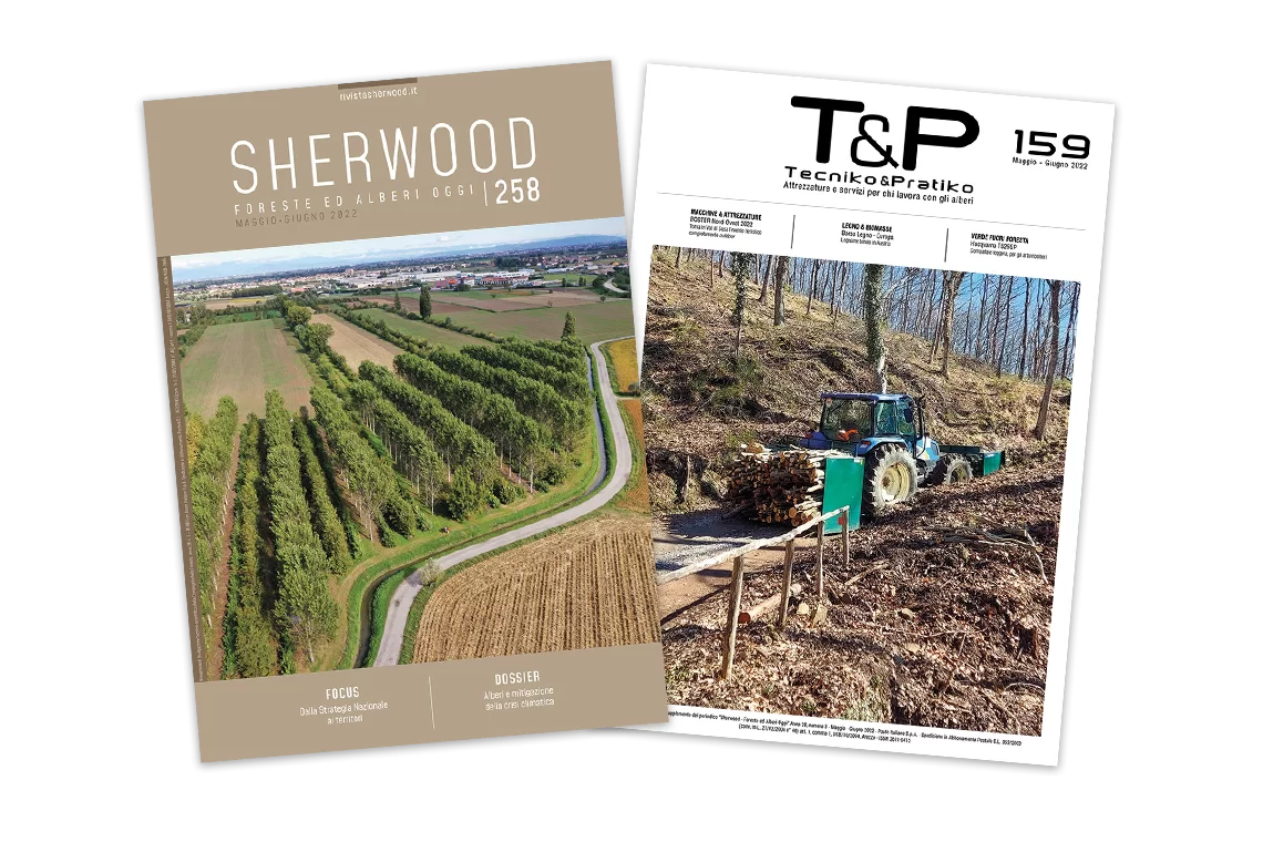 Alberi e crisi climatica, prossimi passi della SFN…questo e altro sul nuovo numero di Sherwood!