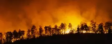 Fuochi: un reportage vocale dal Montiferru