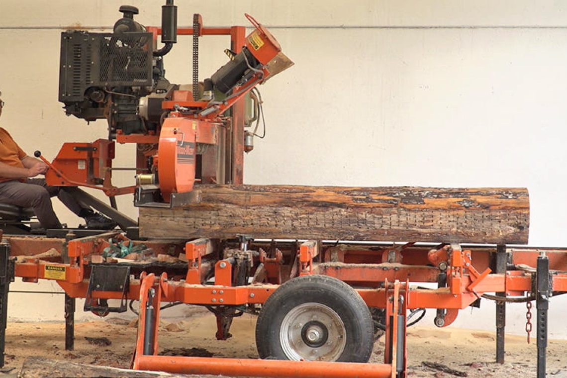 Dagli incendi al rilancio economico: così La Foresta promuove una rinascita targata Wood-Mizer