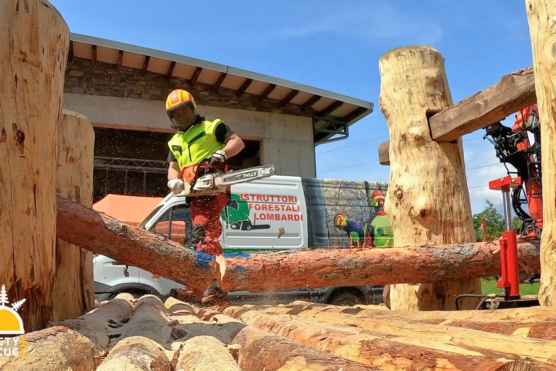 Foreste colpite da avversità: due strumenti per incrementare la sicurezza