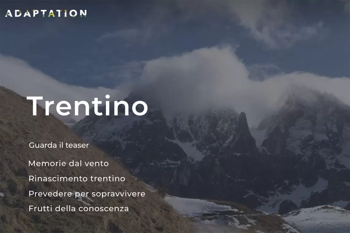 Adaptation, ripartire dopo Vaia