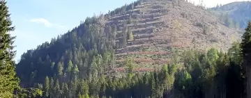 La funzione protettiva degli schianti per evitare opere inutili