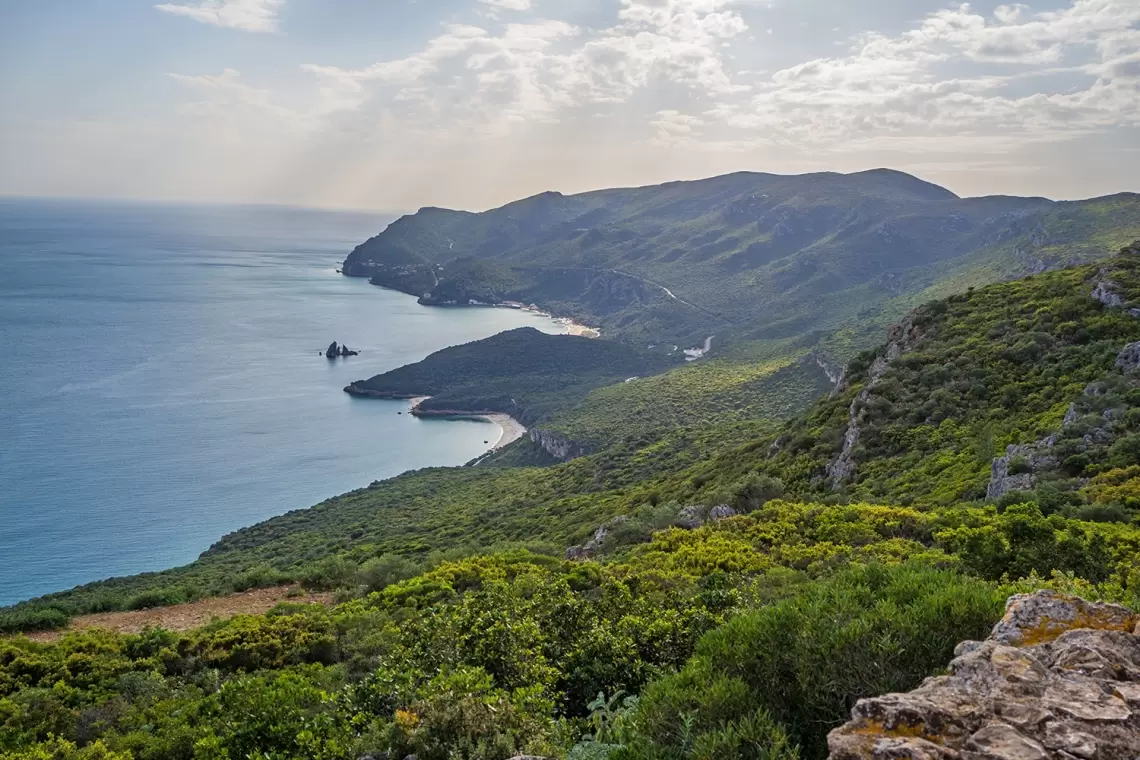 Al via la nuova edizione dello Stato delle Foreste del Mediterraneo