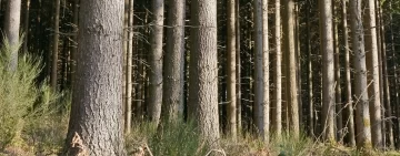 Un video e un incontro conclusivo per scoprire il Progetto Do.Na.To.