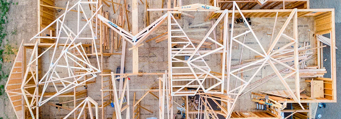 pillole italia 01 bostrico