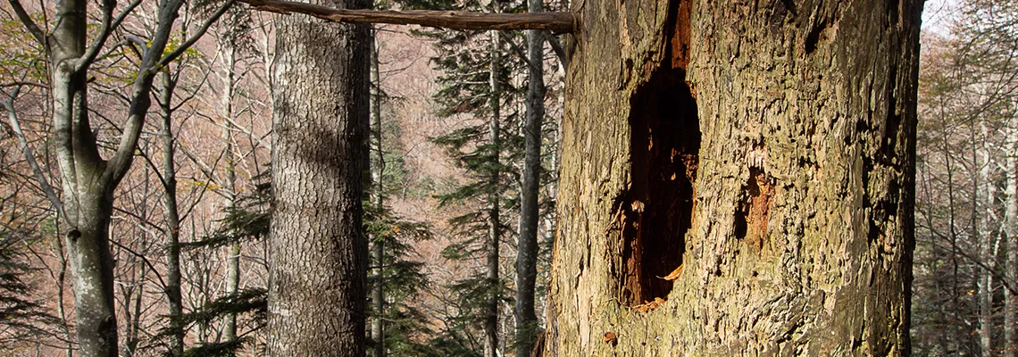 Pillole Puntata19 News1