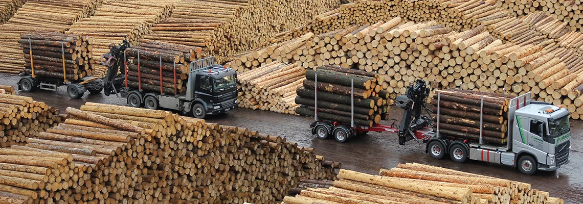 Pillole Puntata19 News1