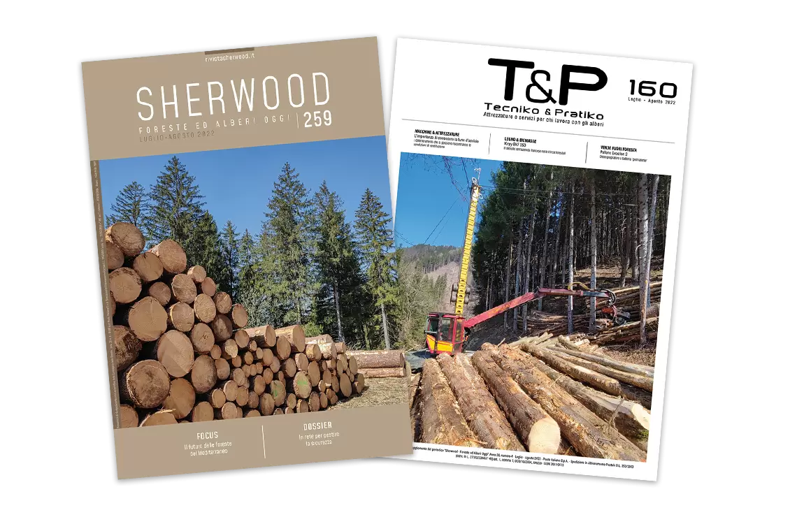 Gestione consortile della sicurezza, il futuro delle foreste mediterranee…è uscito Sherwood 259!