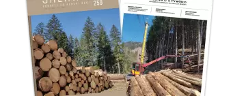 Gestione consortile della sicurezza, il futuro delle foreste mediterranee…è uscito Sherwood 259!