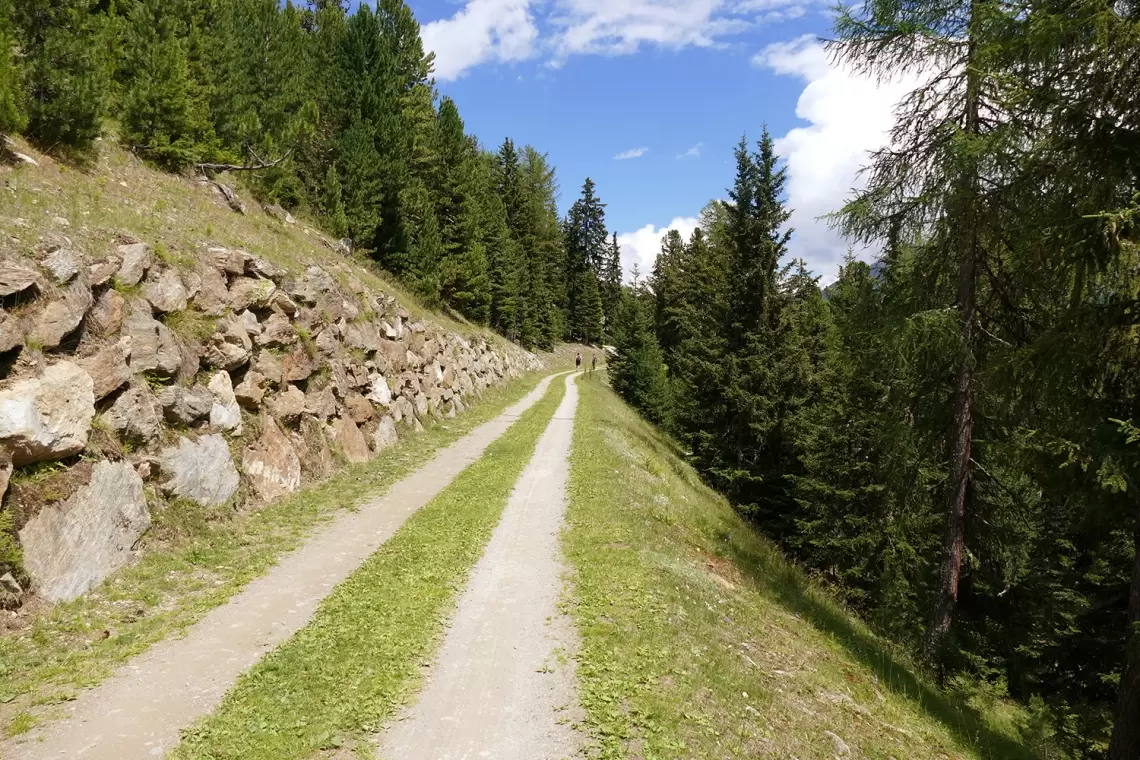 Contratti di filiera Forestale: arrivano risorse dal Mipaaf!