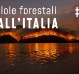 Pillole forestali dall’Italia #02 - Innovazioni AIB e altre notizie di luglio