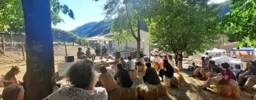 Ecotoni Live, i nostri boschi tra abbandono, crisi climatica e bioeconomia