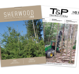 Sherwood 260: un dossier sulla douglasia e un focus sul mercato del legno