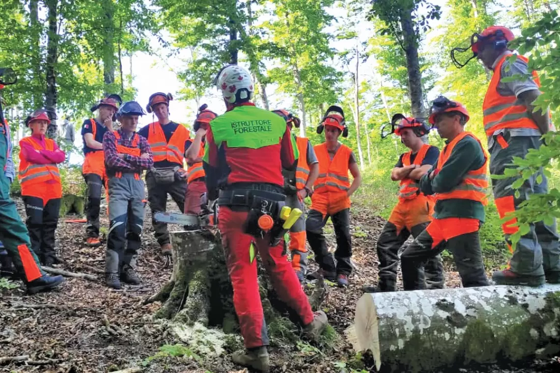 Sabart e il centro di formazione Tadini per una maggiore sicurezza in bosco