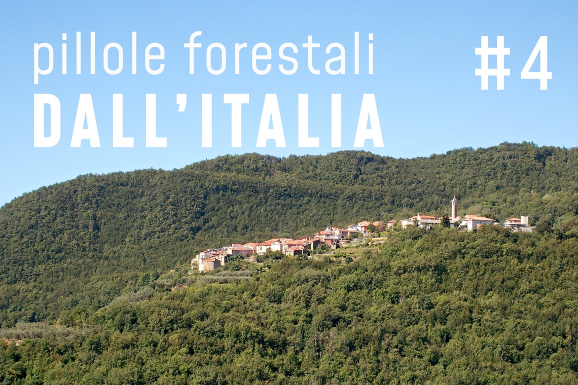 Pillole dall’Italia #04 - Una PAC più “forestale” e altre notizie di settembre