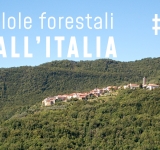 Pillole dall’Italia #04 - Una PAC più “forestale” e altre notizie di settembre