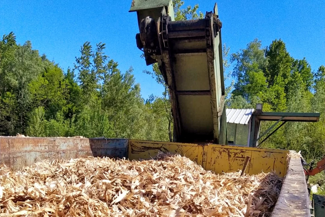 Sottoprodotti della filiera legno energia: da problema a opportunità