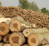 Mercato del legno: sappiamo come funziona?