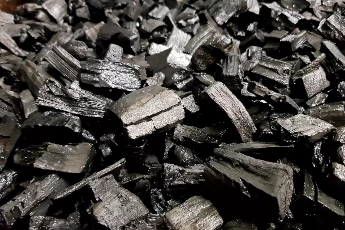 Parliamo di Biochar