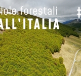 Pillole forestali dall’Italia #05 - “Burocrazie selvicolturali” e altre notizie di settembre