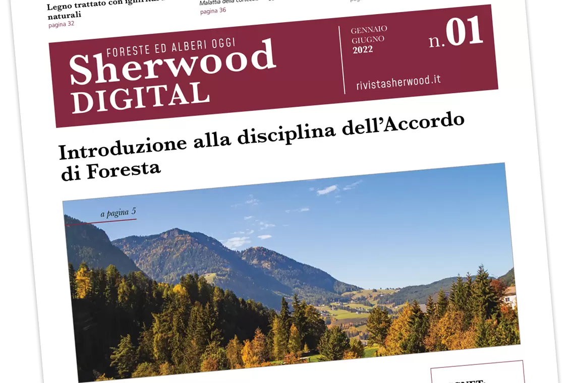 Sherwood digital n1 - Gennaio-Giugno 2022