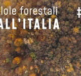  Pillole forestali dall’Italia #06 - I risultati dell’Inventario 2015 e altre notizie di ottobre