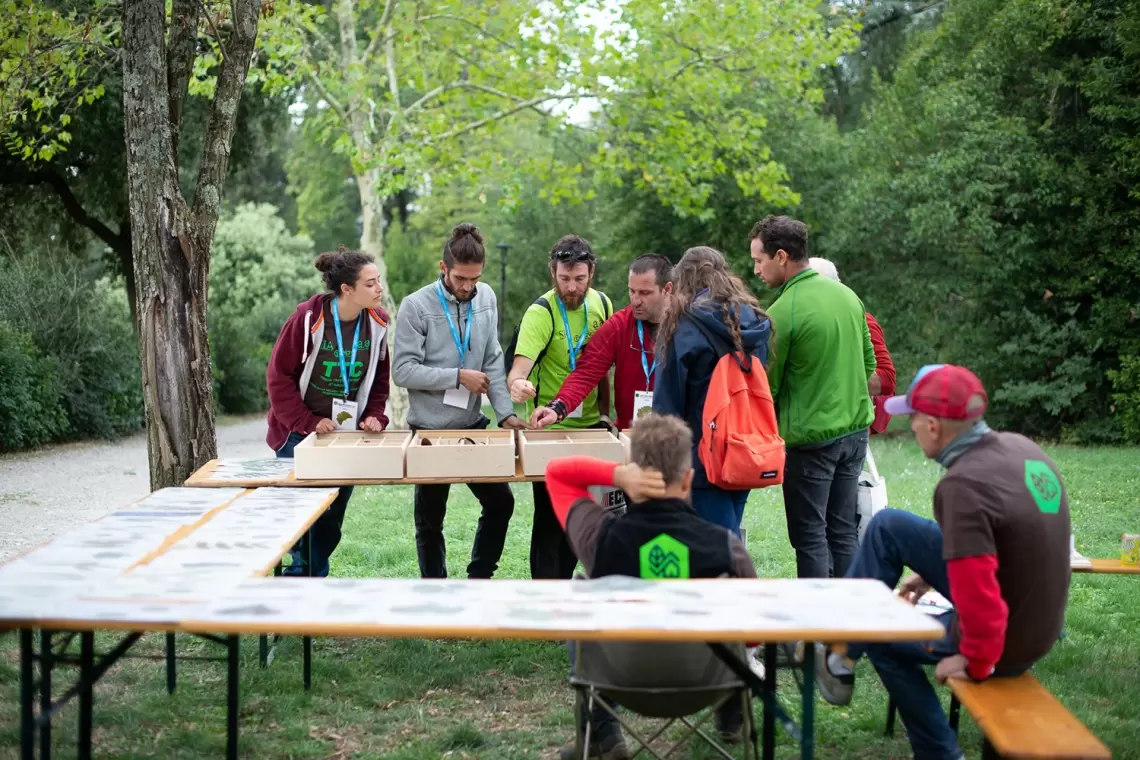 AUSF Firenze al Touch Trees Contest