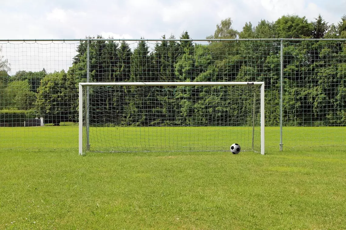 Comunicazione forestale: sconfitti due a zero, per due “autogol”