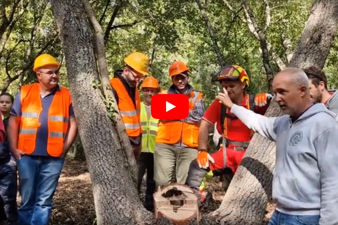 Un video per raccontare una giornata dedicata alla sicurezza nei lavori in bosco