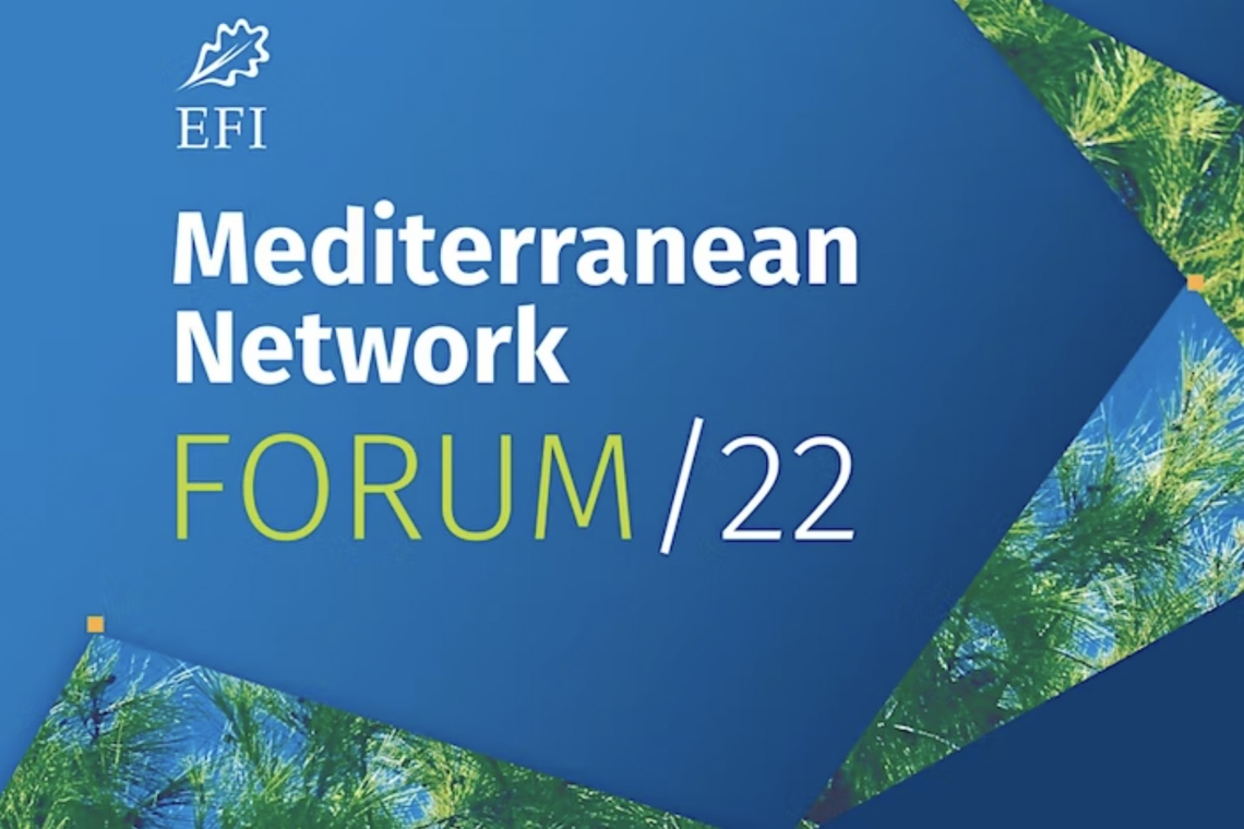 4 webinar in vista dell’EFI Mediterranean Network Forum 2022