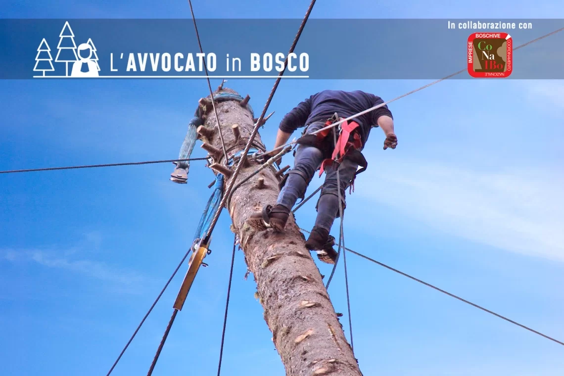 Documento di Valutazione dei Rischi (DVR) e impresa forestale: conoscere per difendersi