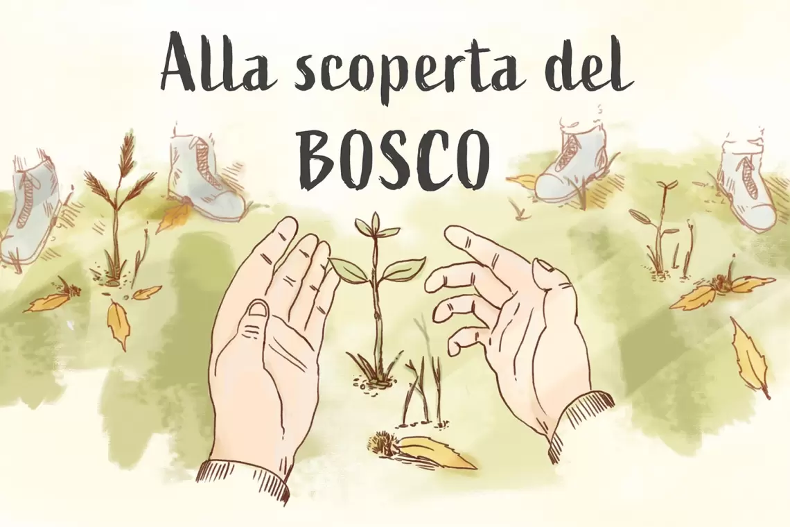 Alla scoperta della selvicoltura