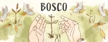 Alla scoperta della selvicoltura