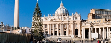 L’annuale scontro sul taglio dell’albero di Natale del Papa… e una proposta alternativa