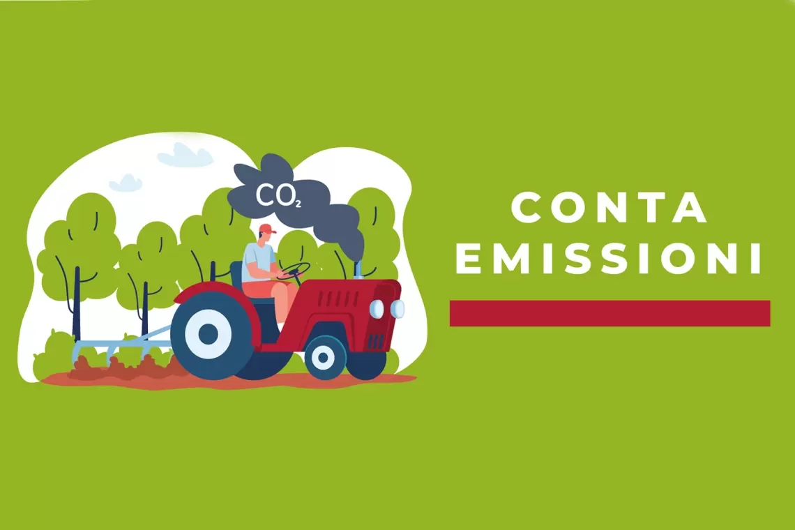 Quanta CO2 emettiamo quando piantiamo alberi?